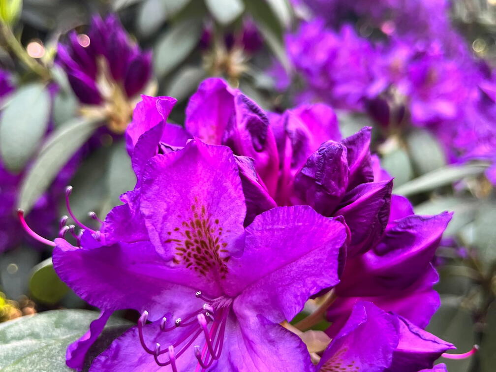 23-06-03 17-15-41 5821